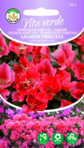 Suureõieline Sametlill Salmon Princess
