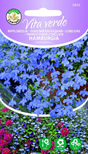 Ripplobeelia Hamburgia