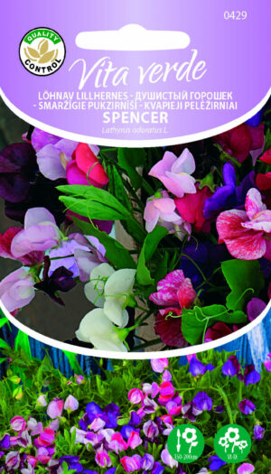 Lõhnav Lillhernes Spencer Lõhnav Lillhernes Spencer