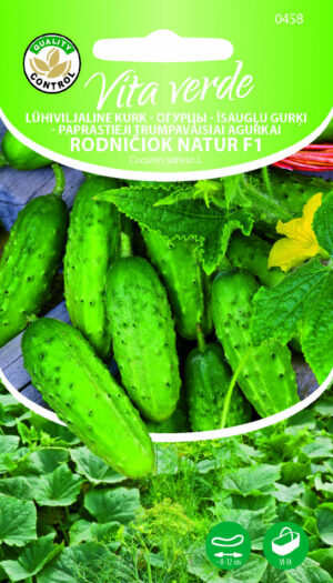 Kurk Rodniciok Natur H