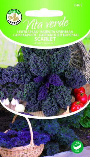Lehtkapsas Scarlet Lehtkapsas Scarlet