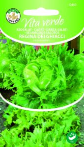 Jääsalat Regina Dei Ghiacci