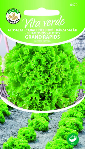 Lehtsalat Grand Rapids Lehtsalat Grand Rapids
