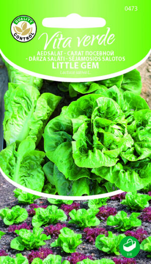 Rooma Salat Little Gem Rooma Salat Little Gem
