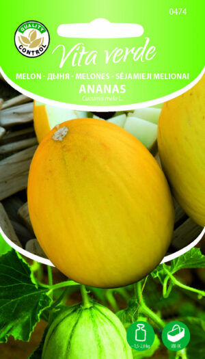 Melon Ananas Melon Ananas