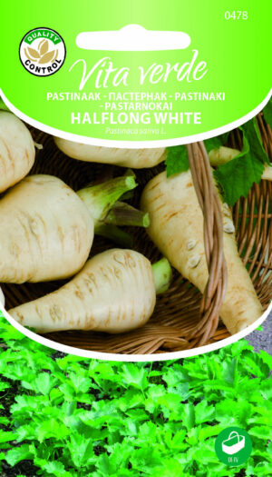 Pastinaak Halflong White Pastinaak Halflong White