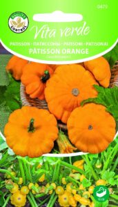 Patisson Pätisson Orange