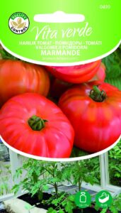 Tomat Marmande