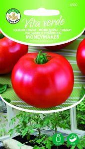 Tomat Moneymaker
