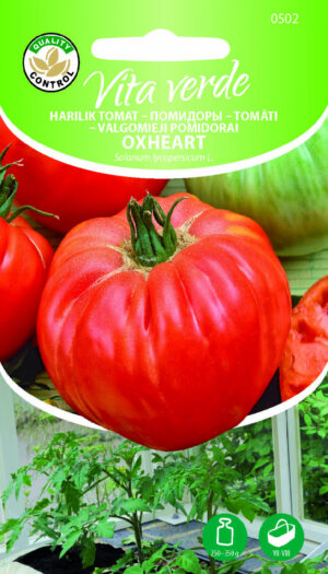 Tomat Oxheart Tomat Oxheart