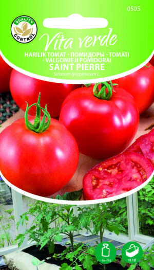 Tomat Saint Pierre Tomat Saint Pierre
