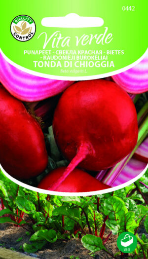 Punapeet Tonda Di Chioggia Punapeet Tonda Di Chioggia