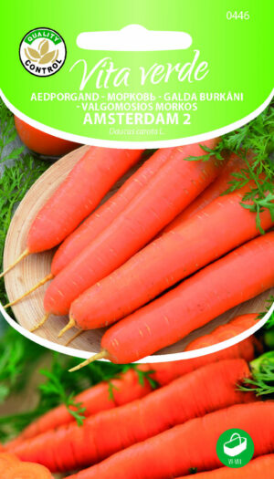 Porgand Amsterdam 2 Porgand Amsterdam 2