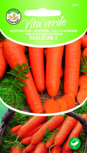 Porgand Berlicum 2 Porgand Berlicum 2