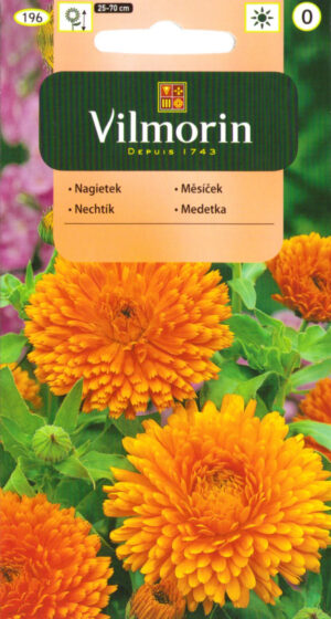 Harilik saialill Calendula offic. oranž Harilik saialill Calendula offic. oranž