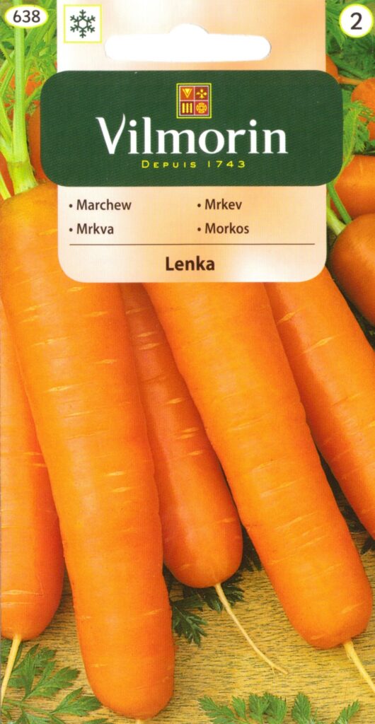 Porgand Lenka Daucus carota