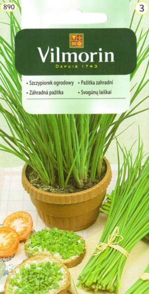 Murulauk Allium schoenaprasum Murulauk Allium schoenaprasum