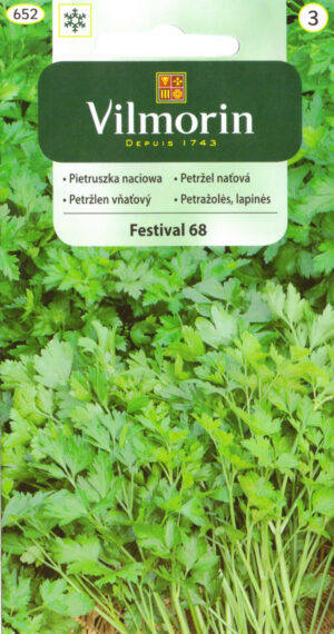 Lehtpetersell Festival Petroselinum crispum Lehtpetersell Festival Petroselinum crispum