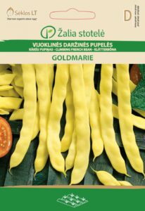 Aeduba Goldmarie - Phaseolus vulgaris L.