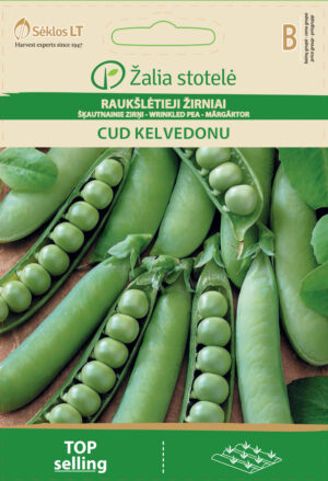 Hernes Kelvedon Wonder - Pisum sativum L. partim Hernes Kelvedon Wonder - Pisum sativum L. partim