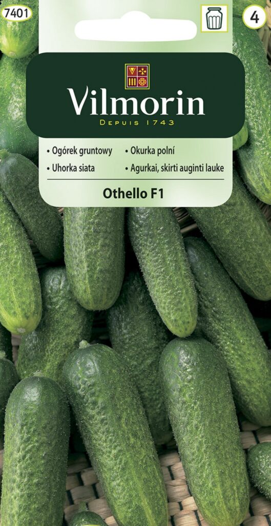 Kurk Othello Cucumis sativus