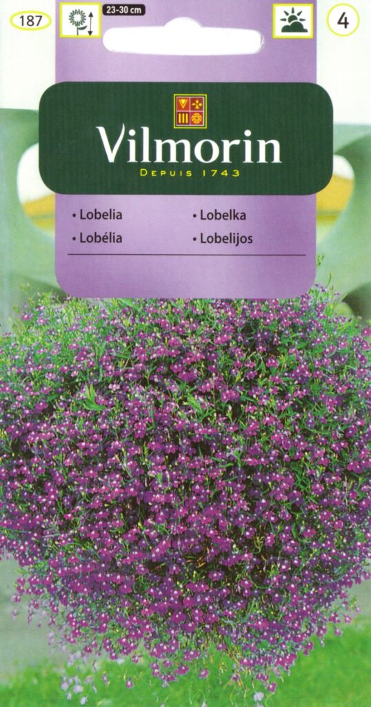 Ripp-lobeelia Lobelia