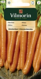 Porgand Amsterdam Daucus carota