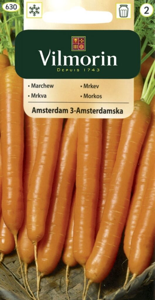 Porgand Amsterdam Daucus carota