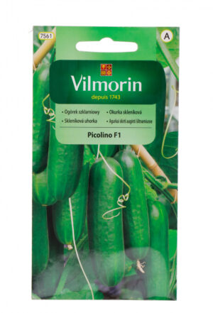 Kurk Picolino F1 Cucumis sativus Kurk Picolino F1 Cucumis sativus