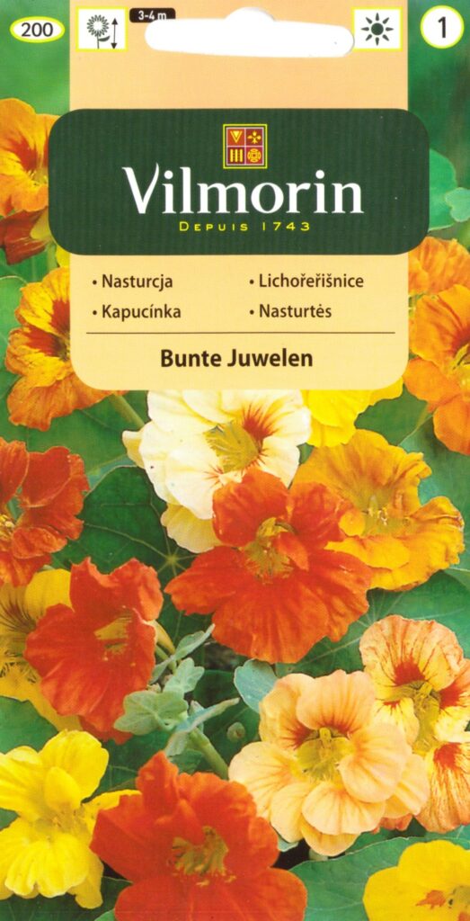 Mungalill Bunte juweln Tropaleum majus