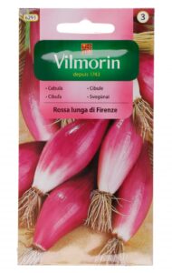 Sibul Rossa lunga de Firenze Allium cepa