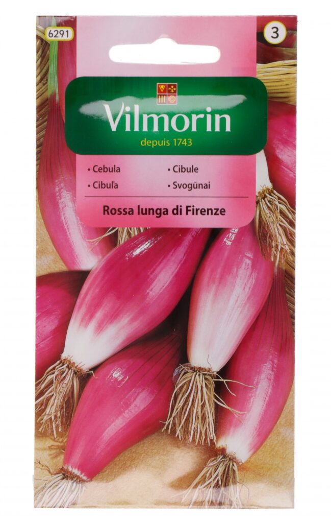 Sibul Rossa lunga de Firenze Allium cepa