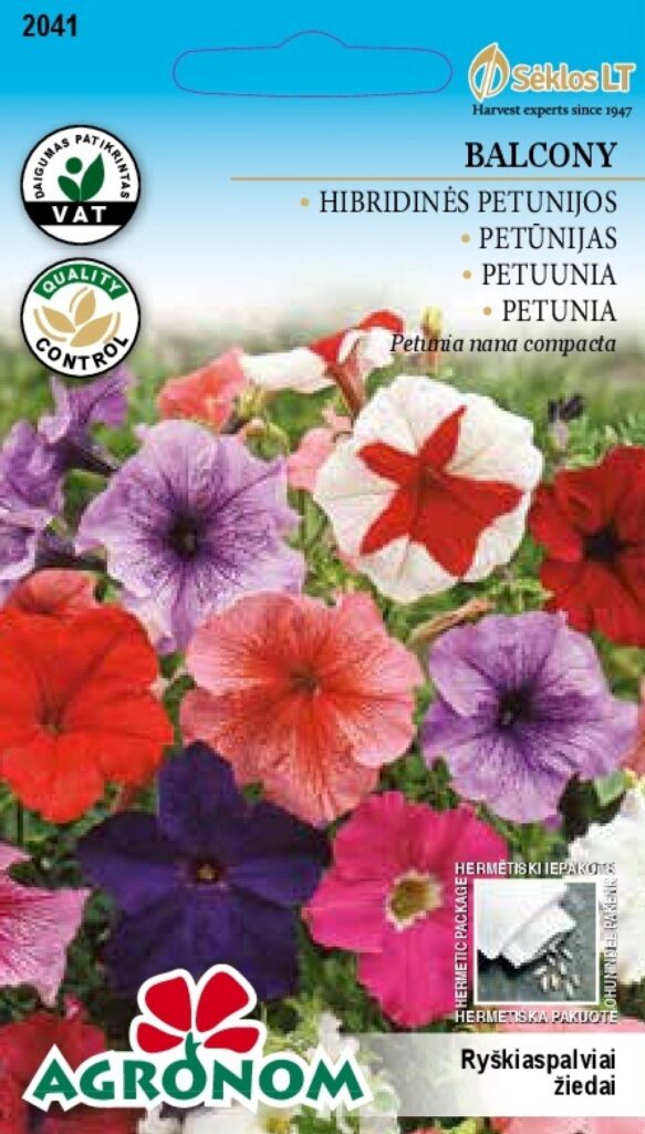 Hübriidpetuunia Balcony - Petunia nana compacta