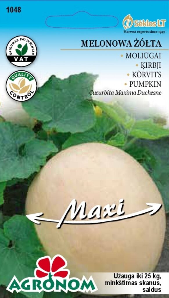 Kõrvits Melonowa Žolta - Cucurbita Maxima Duchesne