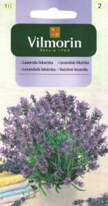Lavendel Lavendula officinalis
