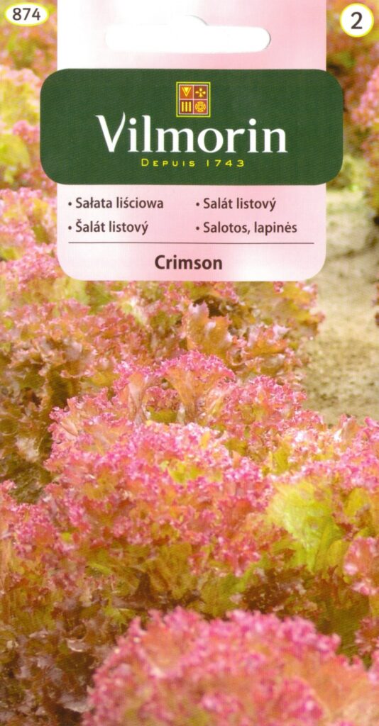 Salat punane Crimson Lactuca sativa