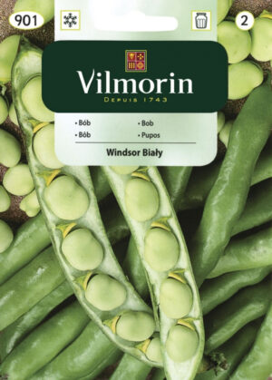 Põlduba Windsor Vicia faba Põlduba Windsor Vicia faba