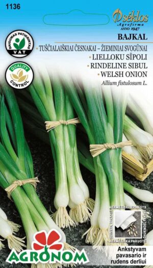 Talisibul 'Bajkal' - Allium fistulosum L.