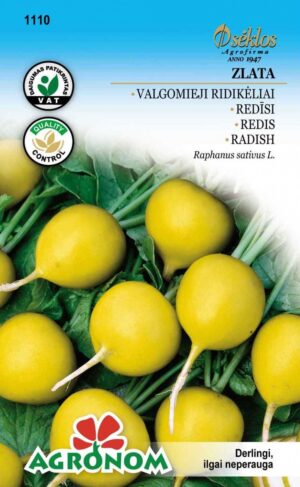 Redis Zlata - Raphanus sativus L. Redis Zlata - Raphanus sativus L.