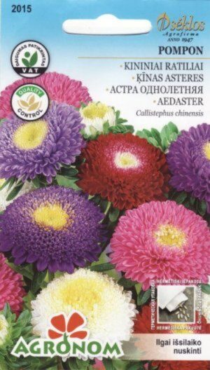 Aedaster Pompon segu - Callistephus chinensis (L.) Ness