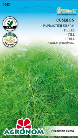 Till 'Common' - Anethum graveolens L. Till 'Common' - Anethum graveolens L.
