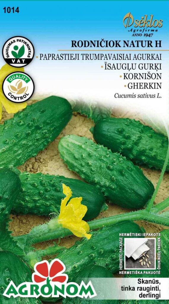 Kurk 'Rodniciok Natur H' - Cucumis sativus L.