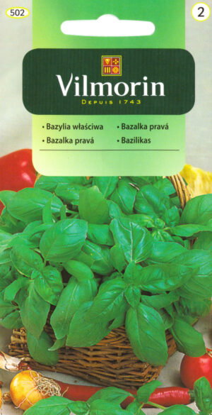 Basiilik roheline Occimum basilicum Basiilik roheline Occimum basilicum
