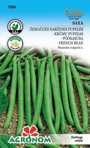 Aeduba Saxa - Phaseolus vulgaris L.