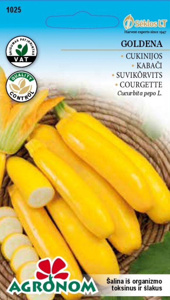 Suvikõrvits Goldena - Cucurbita pepo L.