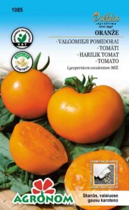 Tomat Oranže - Solanum lycopersicum L.