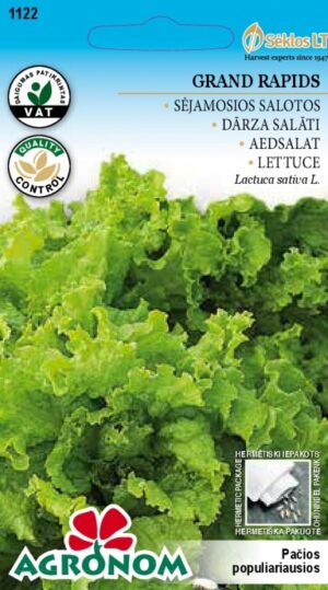 Salat Grand Rapids - Lactuca sativa L. Salat Grand Rapids - Lactuca sativa L.