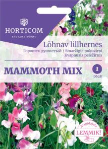 Lõhnav lillhernes Mammoth mix 5g 1