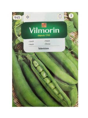 Aedhernes Television Pisum sativum Aedhernes Television Pisum sativum