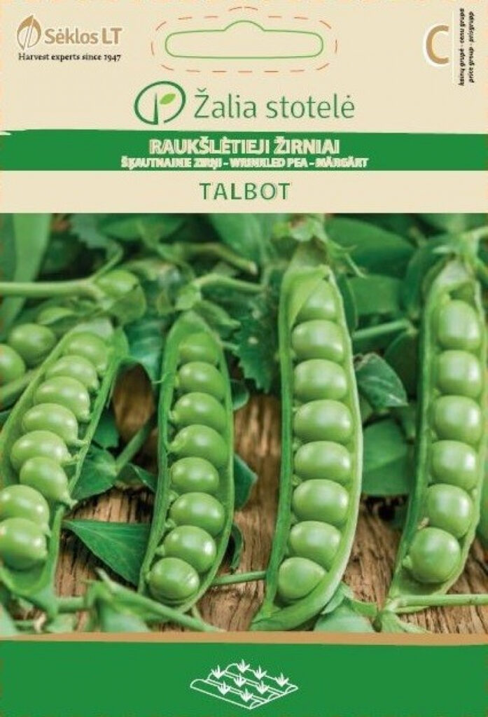 Hernes Talbot - Pisum sativum L.partim